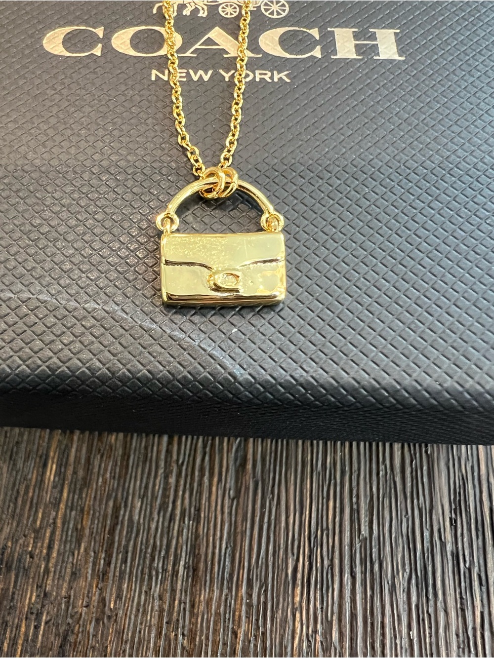 NWT Coach Tabby Bag Pendant Necklace Gold Plated Link Chain